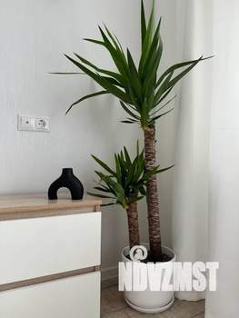 2-к квартира, посуточно, 42м2, 24/24 этаж