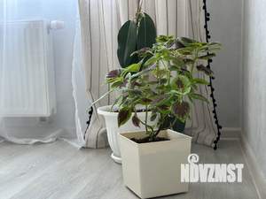 1-к квартира, посуточно, 32м2, 9/19 этаж