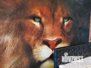 Студия квартира, посуточно, 36м2, 8/9 этаж