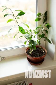 2-к квартира, посуточно, 61м2, 20/25 этаж