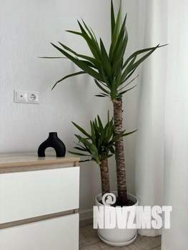 2-к квартира, посуточно, 42м2, 1/1 этаж