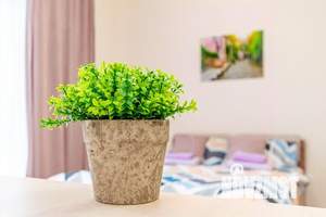 1-к квартира, посуточно, 31м2, 1/1 этаж