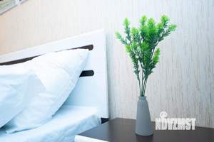 1-к квартира, посуточно, 47м2, 1/1 этаж