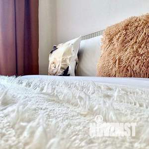 1-к квартира, посуточно, 48м2, 1/1 этаж