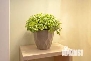 Студия квартира, посуточно, 15м2, 2/5 этаж