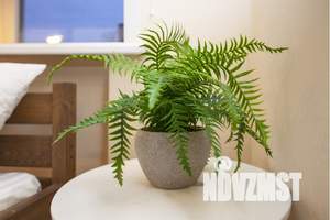 1-к квартира, посуточно, 12м2, 2/5 этаж