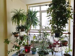 2-к квартира, на длительный срок, 76м2, 2/4 этаж