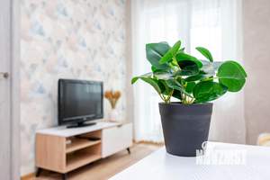 1-к квартира, посуточно, 37м2, 1/1 этаж