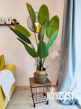 Студия квартира, посуточно, 30м2, 5/5 этаж
