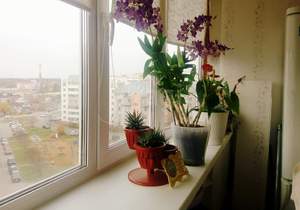 1-к квартира, вторичка, 42м2, 6/10 этаж