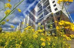 1-к квартира, вторичка, 36м2, 7/11 этаж