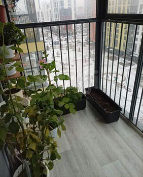 1-к квартира, вторичка, 36м2, 9/16 этаж