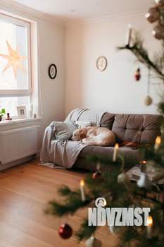 3-к квартира, вторичка, 99м2, 5/7 этаж