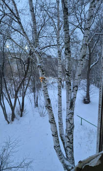 1-к квартира, вторичка, 32м2, 2/5 этаж