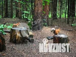 1-к квартира, вторичка, 38м2, 1/9 этаж