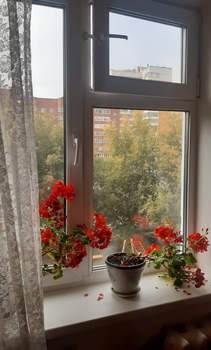 3-к квартира, вторичка, 68м2, 3/10 этаж